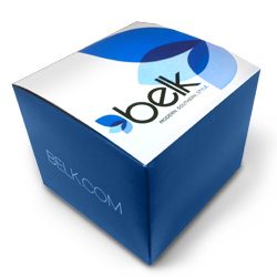 Gift Cards and Gift Boxes