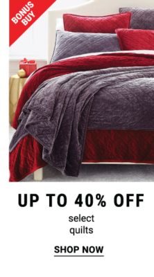 Bonus Buy - Up to 40% off select quilts. Shop Now.