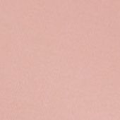 Nude Plum