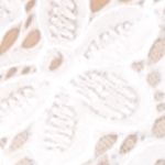 Poplin White