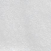 TRUE SILVE