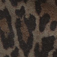 Grey Leopard
