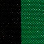 Black/Emerald