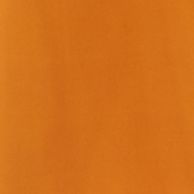 Tandoori Spice