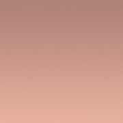 Milky Pink Gradient/Pink Gradient Dark Brown