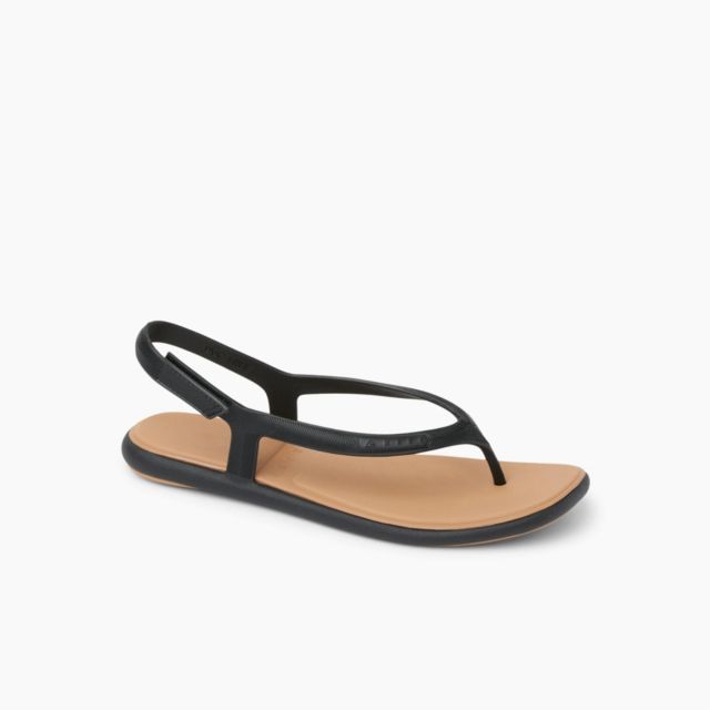 Black/Tan