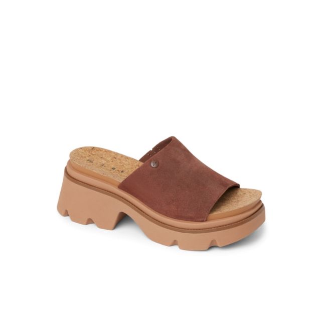 Brown/Black
