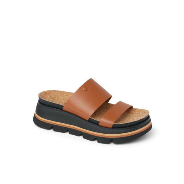 Cocoa/Black