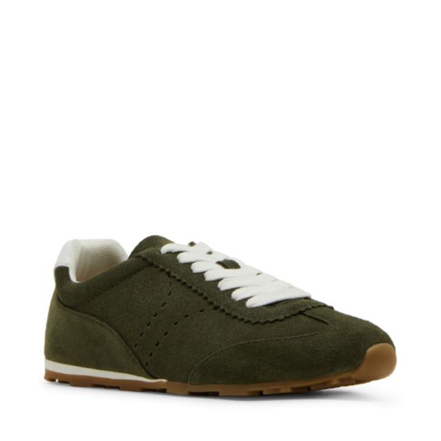 OLIVE MULTI