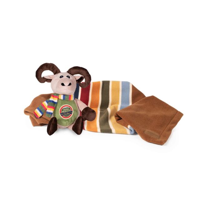 Joshua Tree + Long Horn Sheep