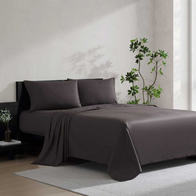 BLACK PLUM