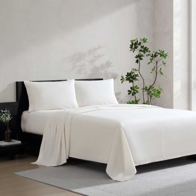 GESSO WHITE