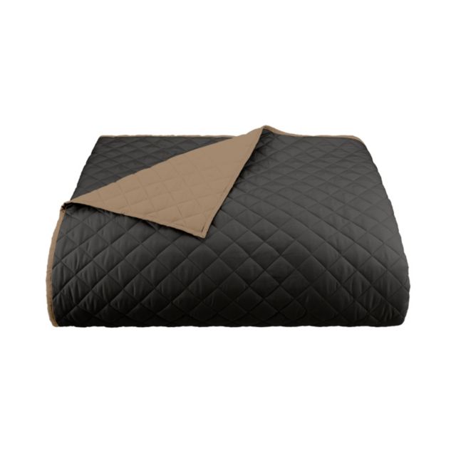 Graphite/Khaki
