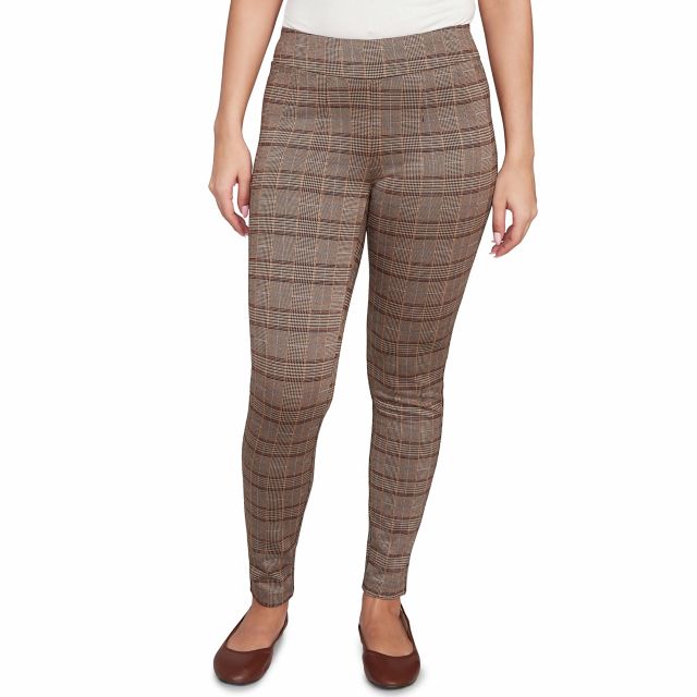 Light Chocolate Mult