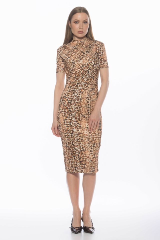 Brown Leopard