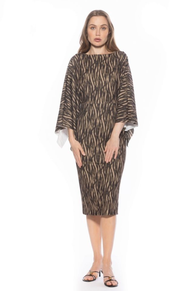 Brown Zebra