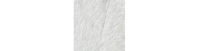 LightPastel Grey