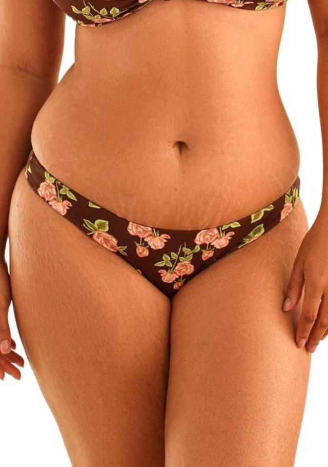 Dotted Brown