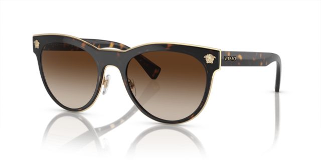 Havana/Brown Gradient Dark Brown