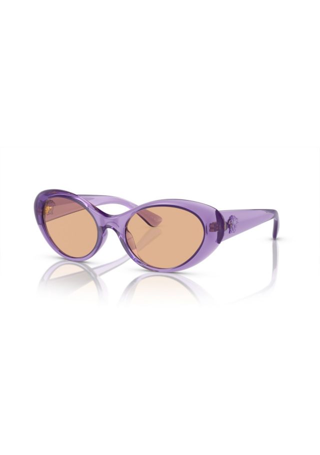 Purple Transparent/Dark Brown