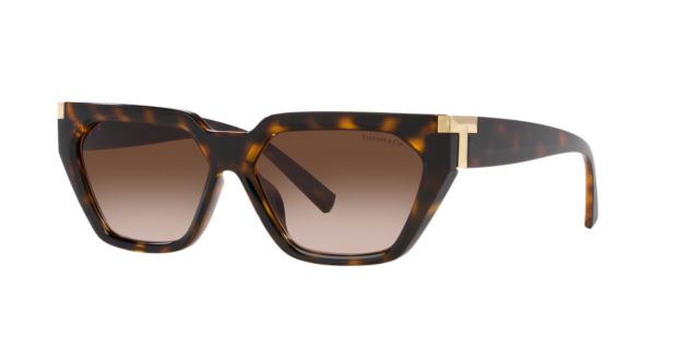 Havana/Brown Gradient