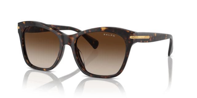 Shiny Dark Havana/Gradient Brown