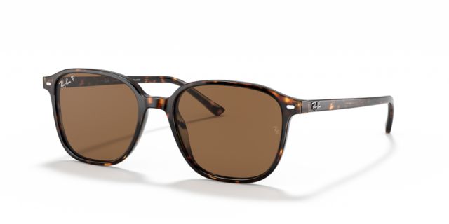 Tortoise/Brown