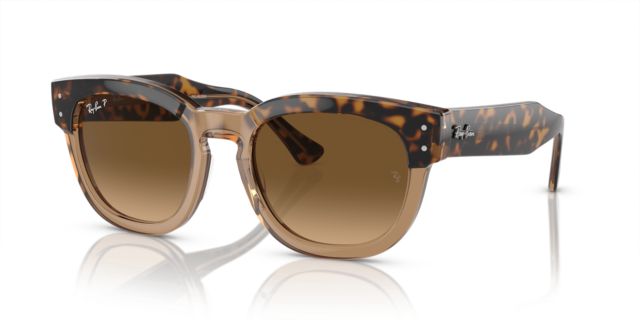 Havana On Transparent Brown/Brown