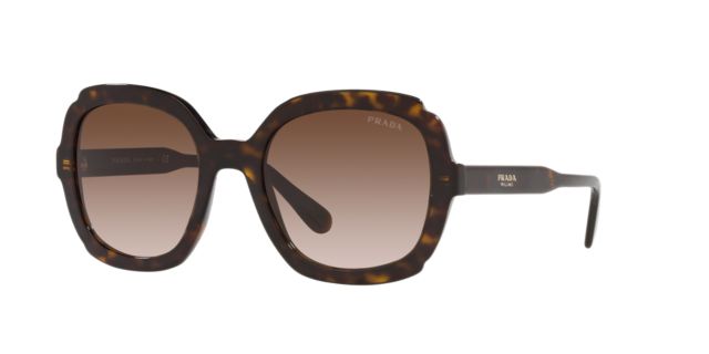 Havana/Brown Gradient