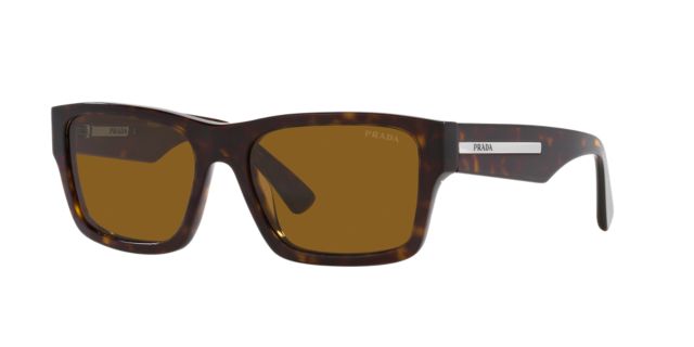 Tortoise/Brown