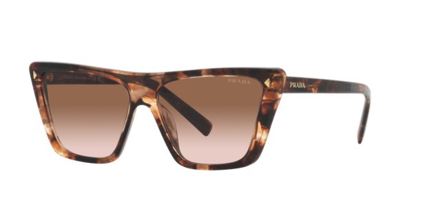Caramel Tortoise/Brown Gradient
