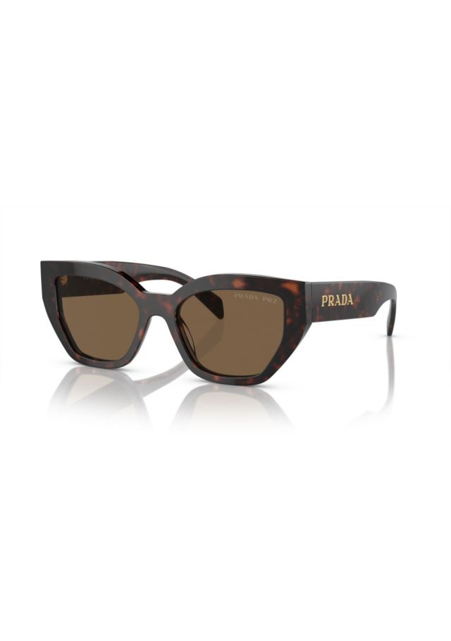 Briar Tortoise/Dark Brown Polarized