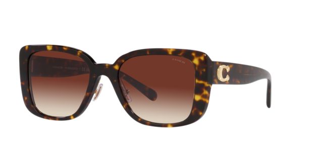 Dark Tortoise/Dark Brown Gradient
