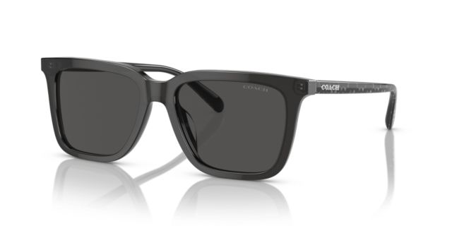 Transparent Dark Grey/Grey Solid