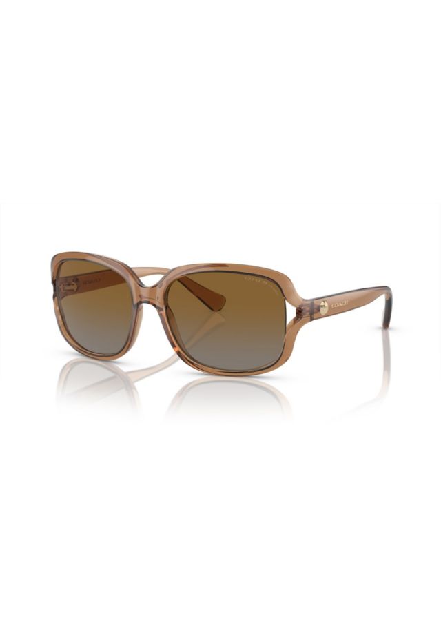 Transparent Brown/Brown Grey Gradient Polar