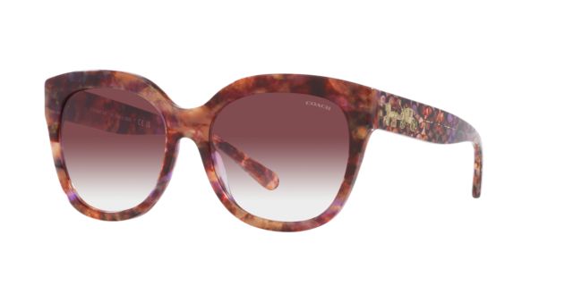 Petal Tortoise/Purple Clear Gradient