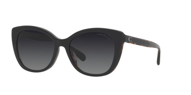 Black/Dark Tortoise/Grey Gradient Polar
