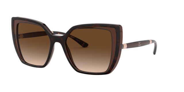 Havana On Transparent Brown/Brown Gradient Dark Brown