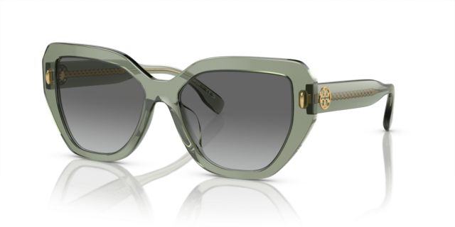 Transparent Sage/Light Grey Gradient Dark Grey