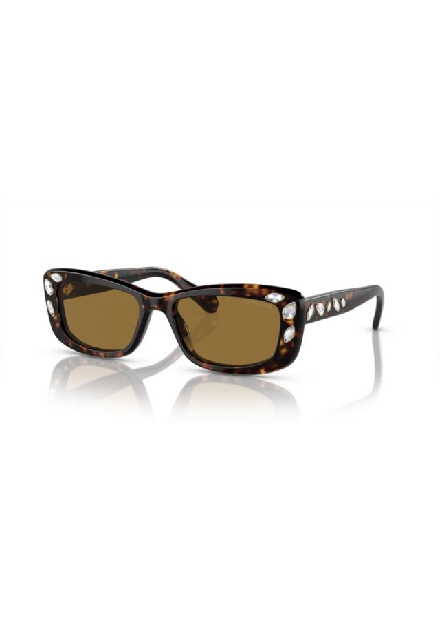 Dark Havana/Bronze