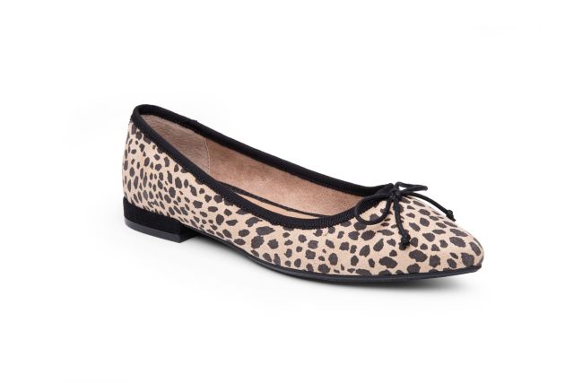 Cheetah Print