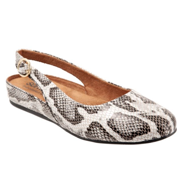 Black/White Snake