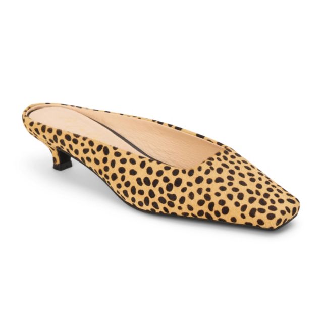 CHEETAH