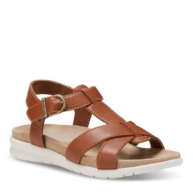 TAN