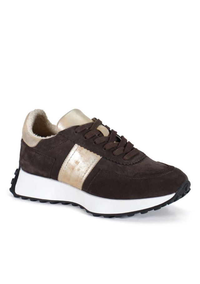 DARK BROWN/GOLD