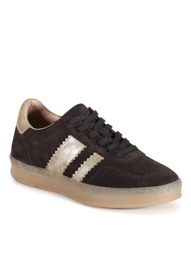 DARK BROWN/GOLD