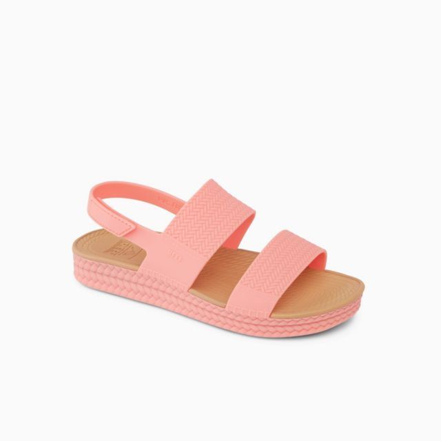 Burnt Coral