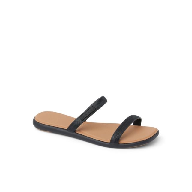 Black/Tan