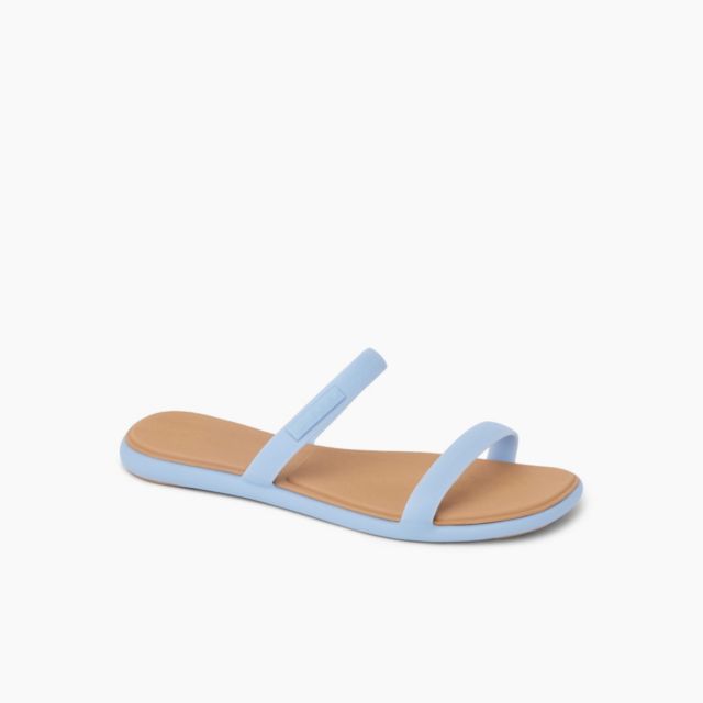 Dusty Blue