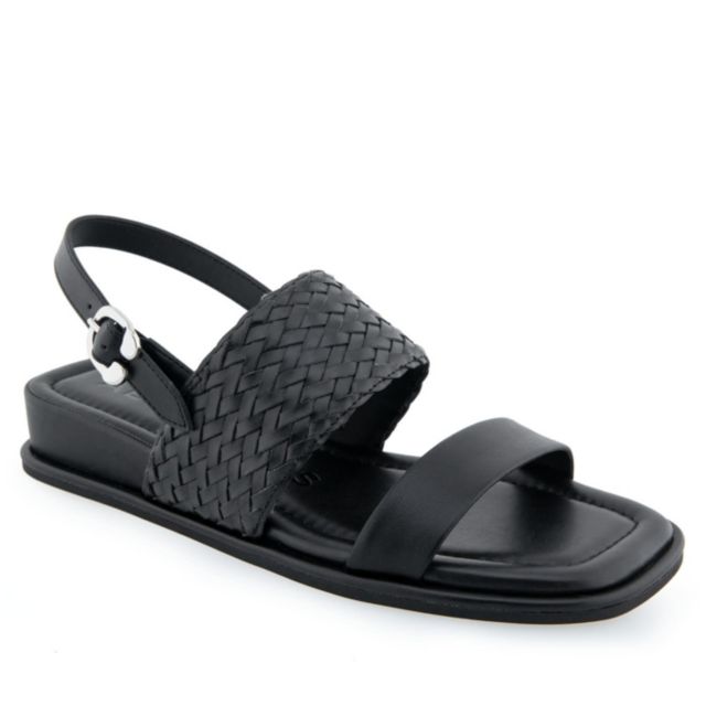 Black Pu
